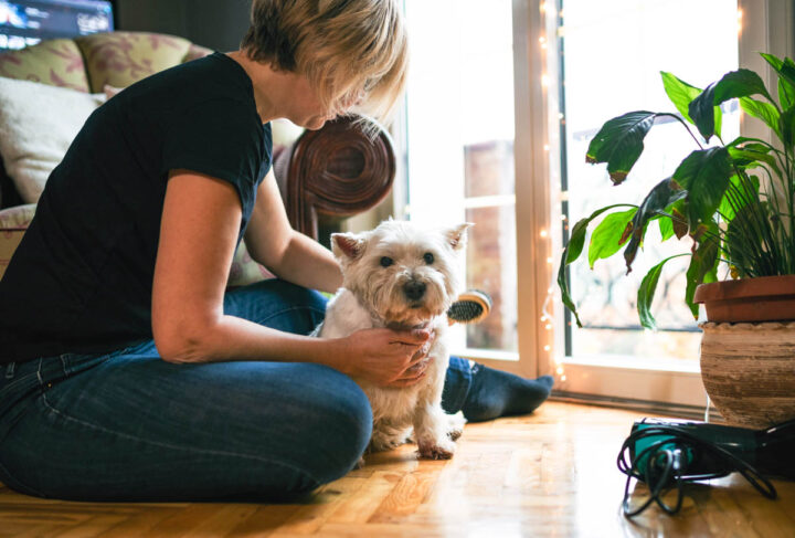 How to reduce pet dander
