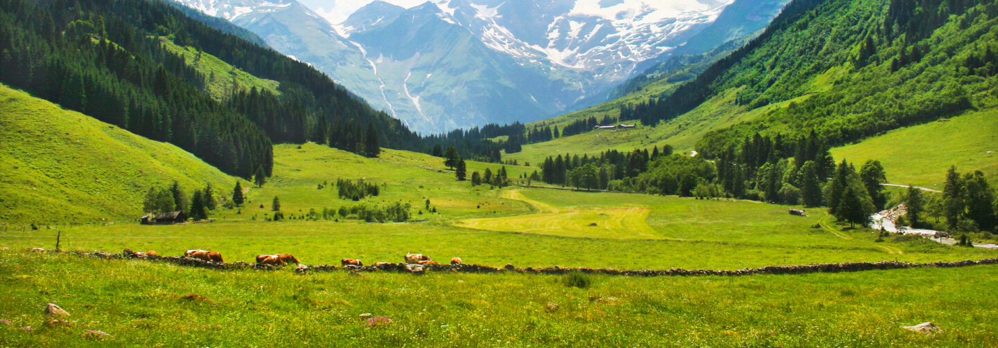 Land Loans: Raw Land vs Lot Land