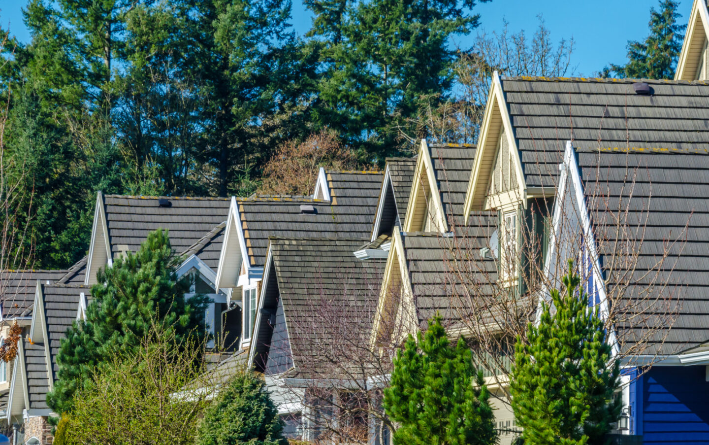 Investment Property Mortgages: Everything You Need to Know