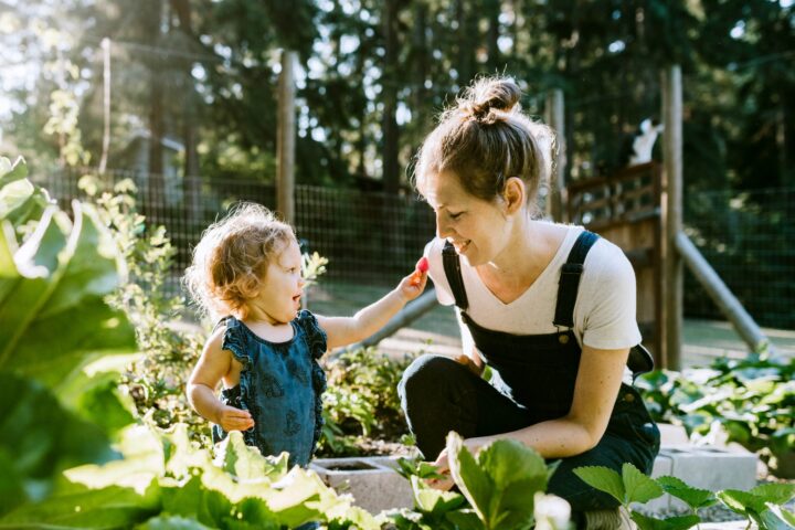 Learn about different types of gardens to suit your lifestyle.