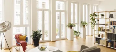 Bright modern living room with natural light and comfortable seating