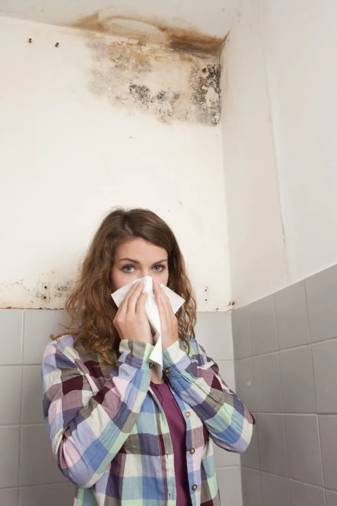 Mold: Is it the Landlord's Responsibility?