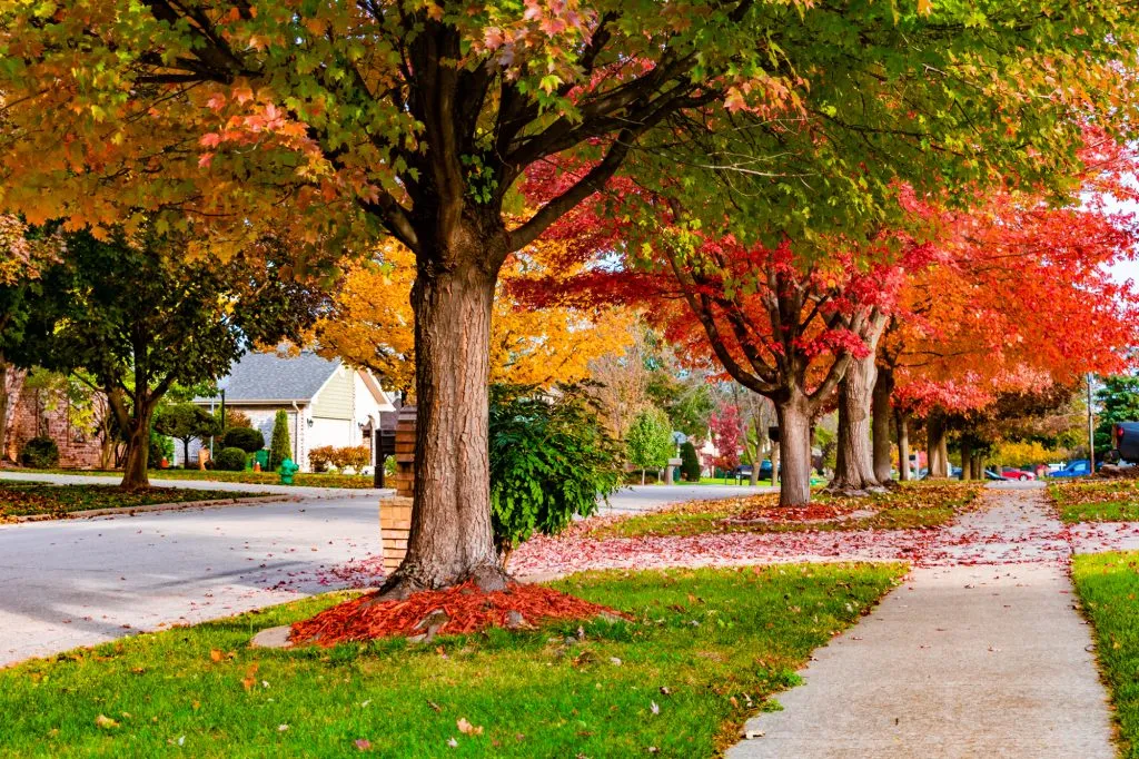 Fall Rental Property Maintenance Checklist