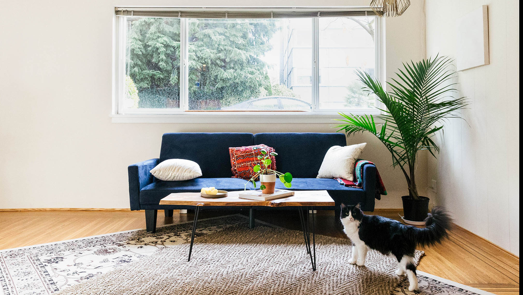 What’s Considered Normal Wear and Tear on Your Rental Property?