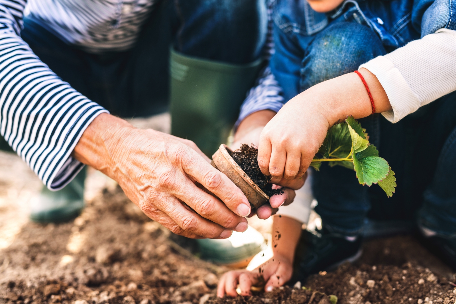 10 Ways to Welcome Summer and Improve Your Property