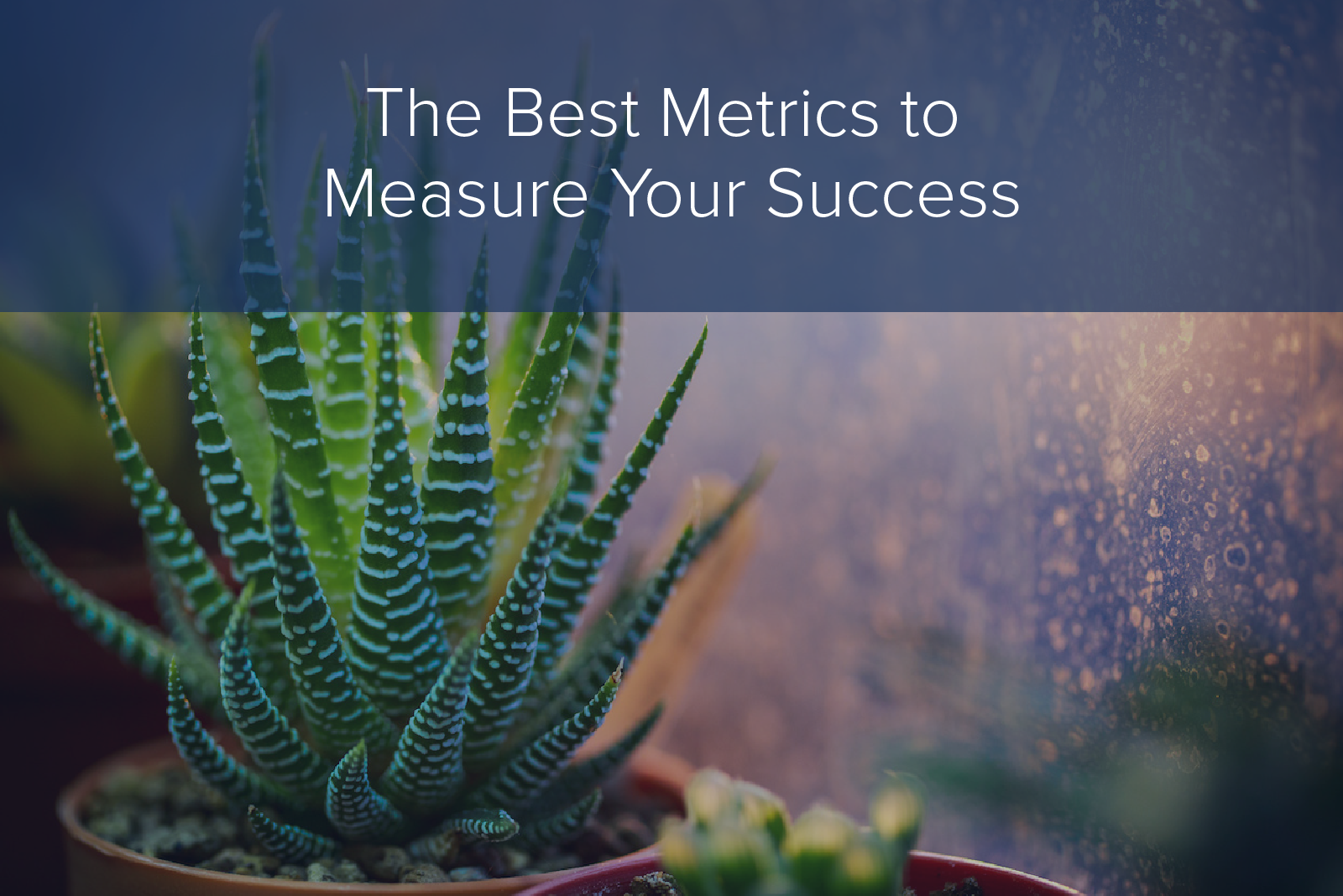 Success Metrics Every Real Estate Agent Should Track