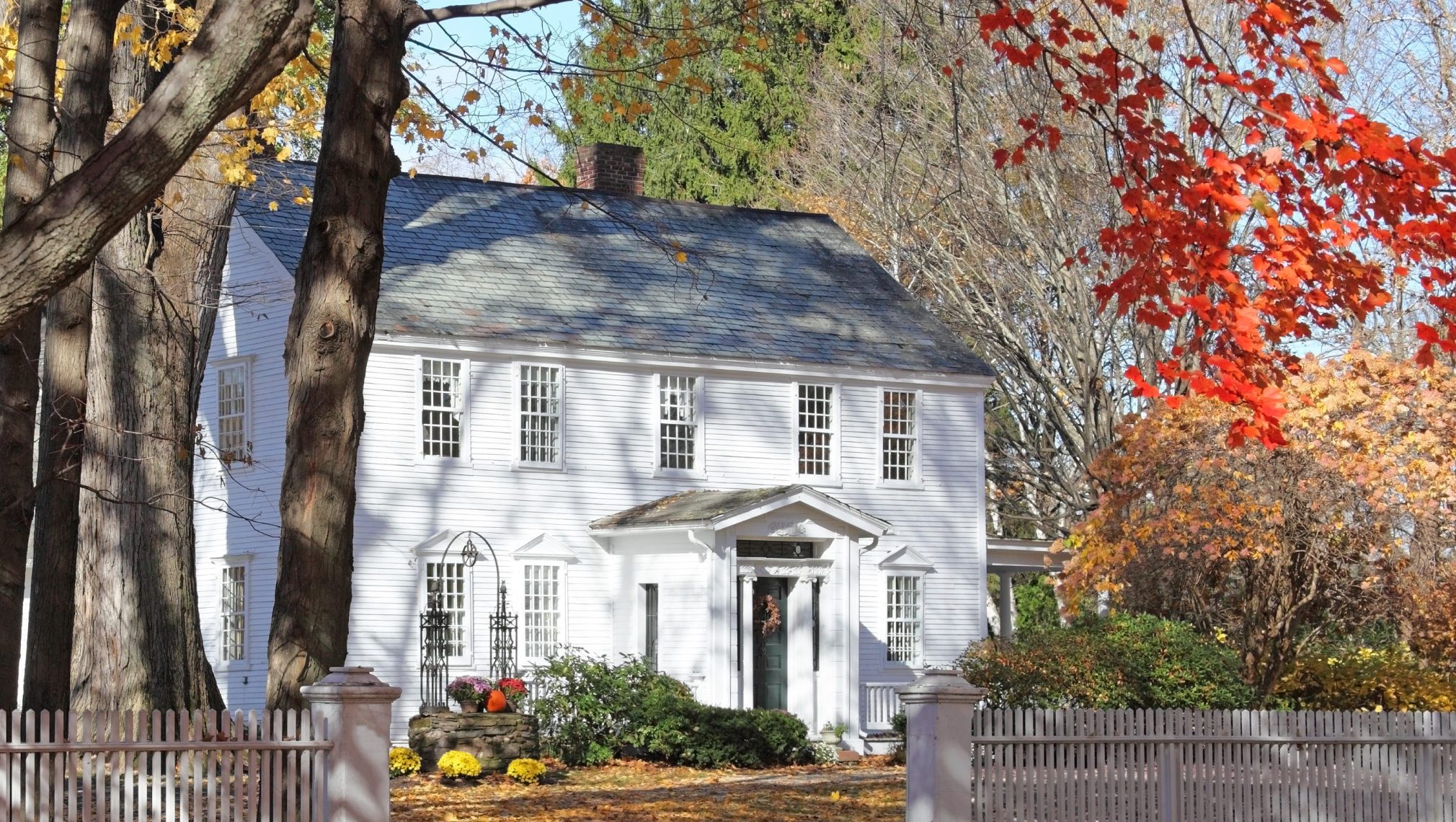 white house real estate