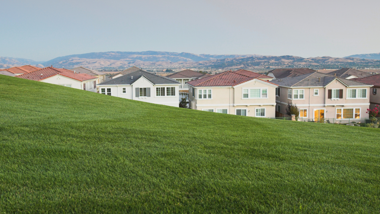 agent market report