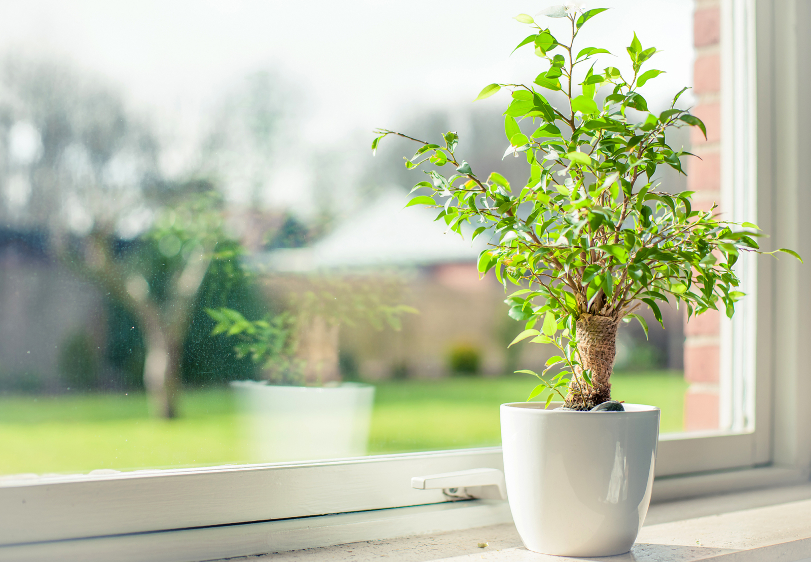 Getting More Green, At Home and In the Bank