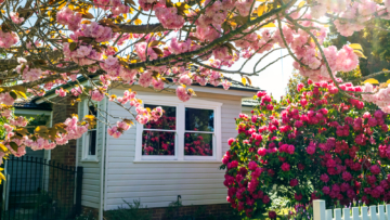 house in the spring
