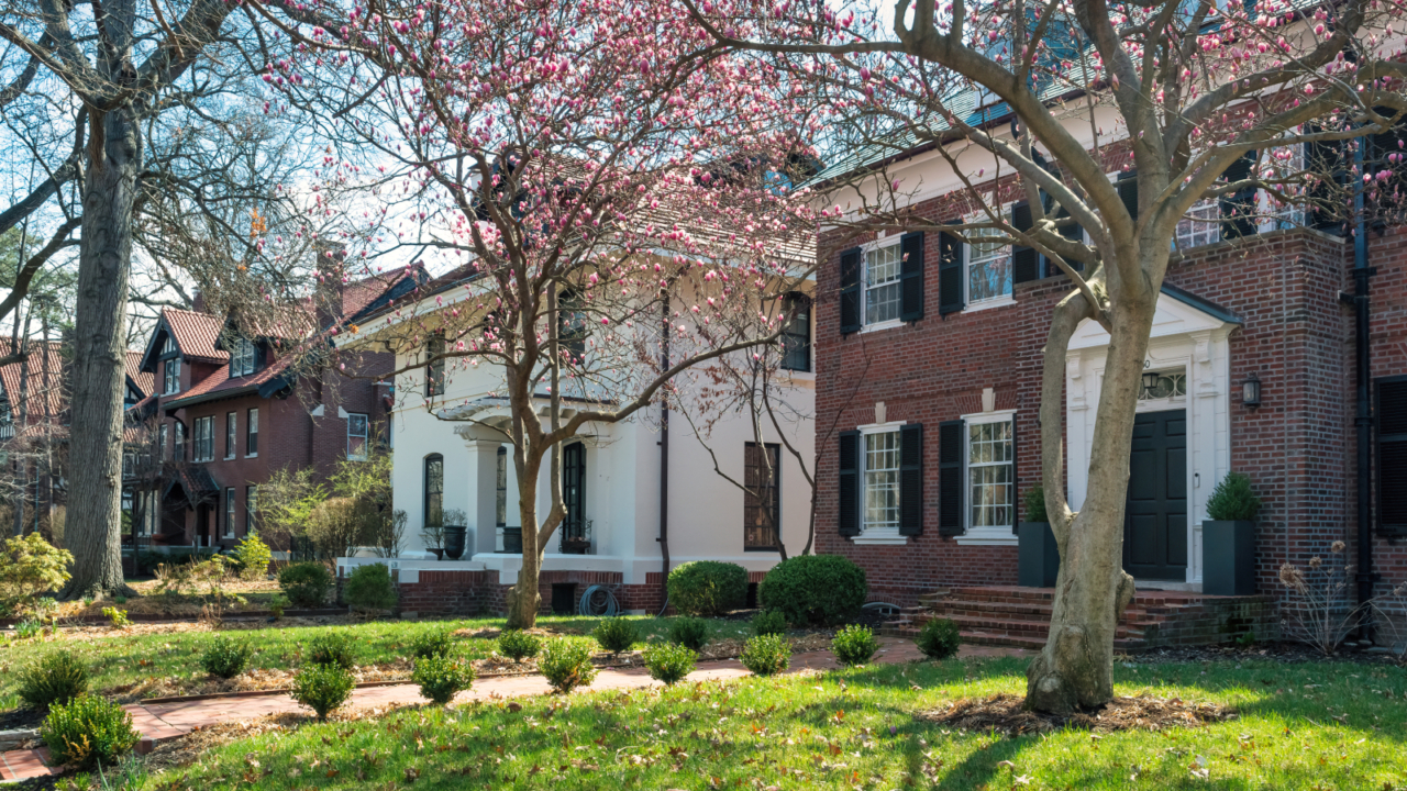 homes in a neighborhood