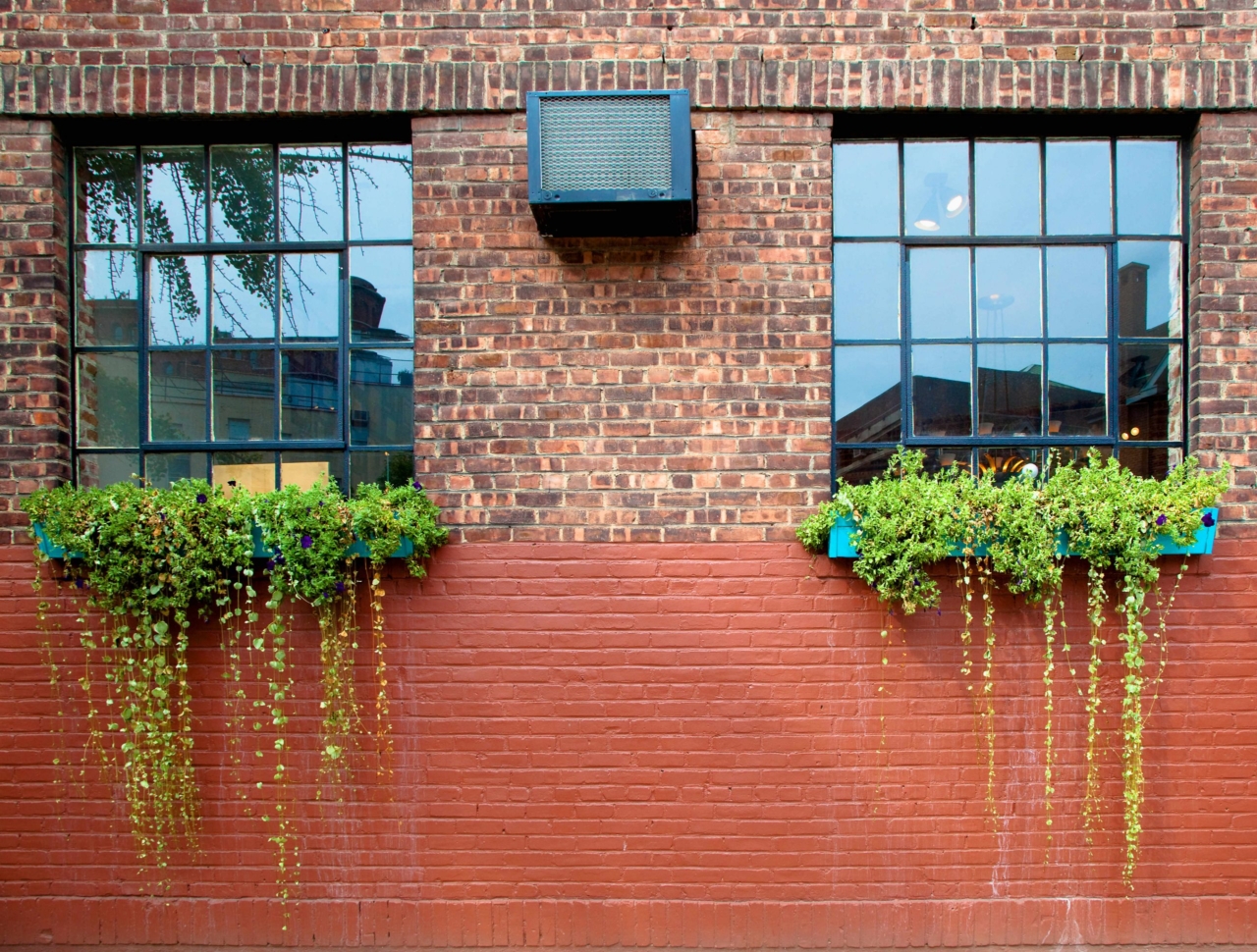 exterior of backside of old brick apartment building showing two windows and plants hanging from baskets on the window sill