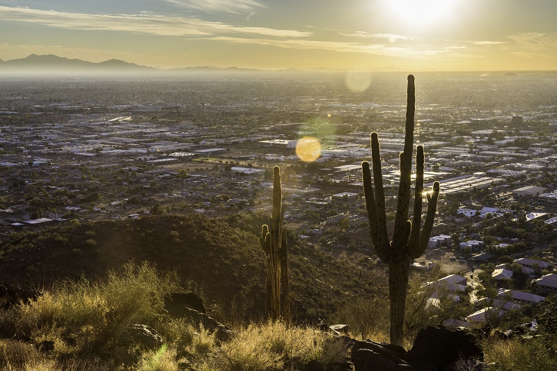 October Case-Shiller Results and November Forecast: Phoenix Replaces Seattle Among Top Three Home-Price Gainers