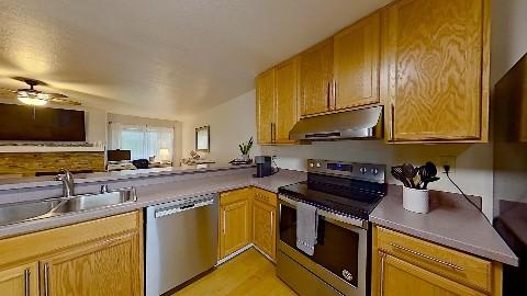 3D home preview