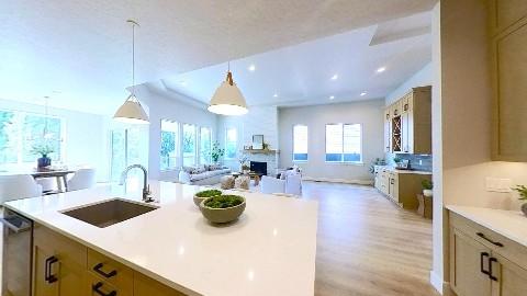 3D home preview